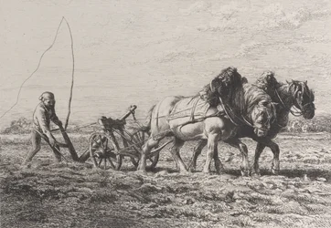 Aratura, 1864