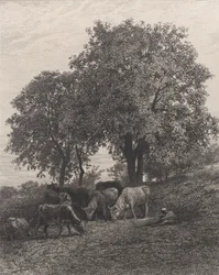 Riposo