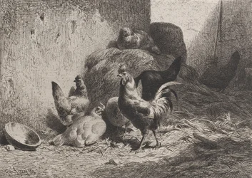 Gallo e galline, 1864