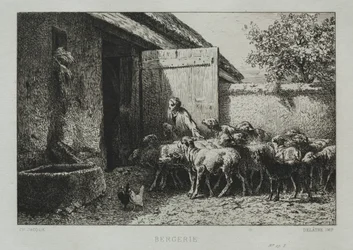 Ovile