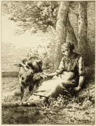 Pastore con gregge di pecore al margine del bosco