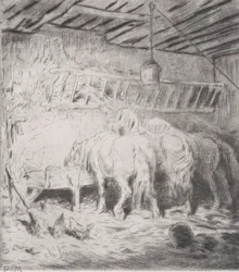 Stalla, 1848