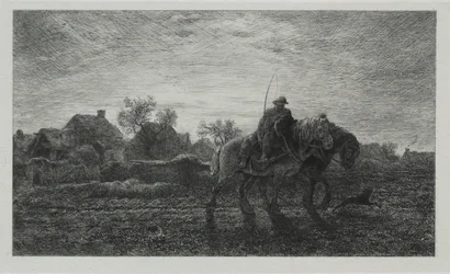 Il Mattino