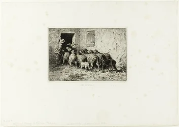 Le pecore tornano a casa