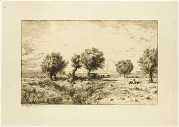 Salici in un Paesaggio