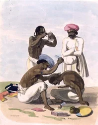 Barbieri, tavola 17 da 