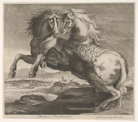 Cavalli Poulonnois