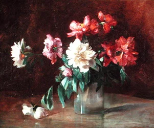 Peonie in un vaso