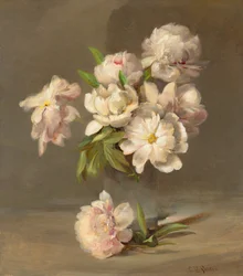 Peonie in vaso, 1885 circa (olio su tela)