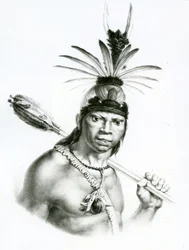 Capo Camacan Mongoyo da 