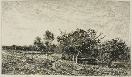 Meli ad Auvers