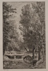 Ruscello nella Val Mondois