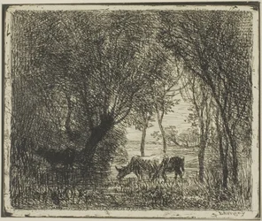 Mucche in un bosco