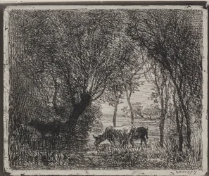 Mucche nel bosco, impressione originale 1862, stampata nel 1921