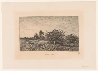 Paesaggio con meli