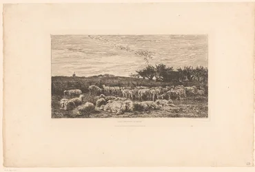 Paesaggio con gregge di pecore