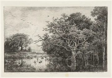 La palude con cicogne