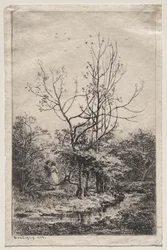 Il frutteto