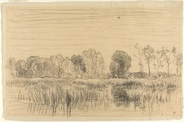 Palude e schermo di alberi