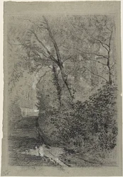 Sentiero nel Bosco