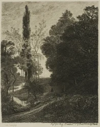 Le rive del Cousin