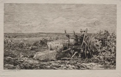 La vendemmia