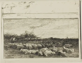 Il grande ovile