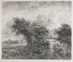 Il boschetto, 1855