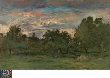 Frutteto di notte