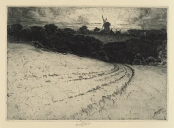 Mattina, Isola di Canonicut, 1908