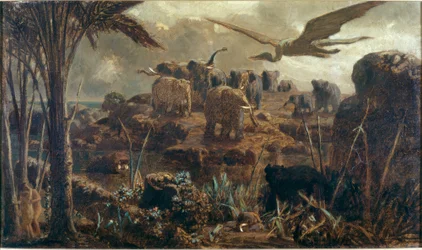 Gli elefanti