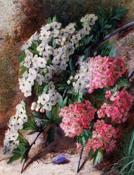 Fiori. Dipinto di Charles Henry Slater (1820-1890) Collezione privata