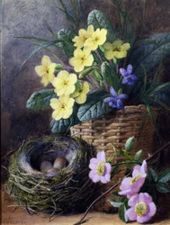 Natura morta di primule, viole e rose. Natura morta con nido, uova e fiori. Dipinto di Charles Henry Slater (1820-1890) Collezione privata