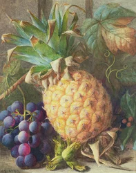 Natura morta con ananas e uva