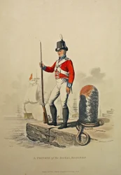 Un Soldato dei Marines Reali, inciso da Joseph Constantine Stadler, pubblicato nel 1815