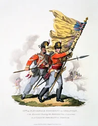 Uniforme e colori del 9° o Reggimento di Fanteria dell