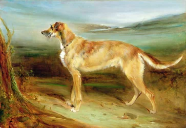 Un cane da caccia in un paesaggio (olio su tela)