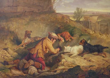 Immagine sconosciuta