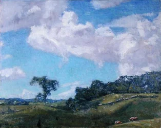 Schiarita