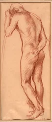 Nudo maschile