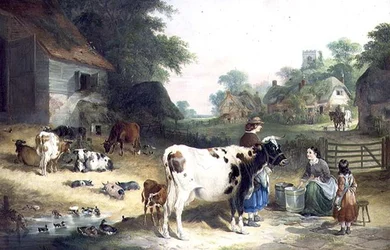Gossip di campagna