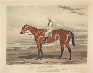 Corse: Blue Bonnet. Il vincitore delle grandi St. Leger Stakes a Doncaster nel 1842