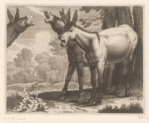 Balkende ezels Dierenserie