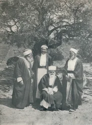Capi Drusi, c1913
