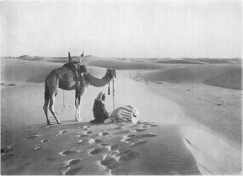 La preghiera del tramonto nel deserto, c1913
