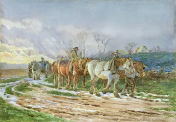 Verso Casa