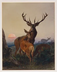 Un cervo con daini in un paesaggio boscoso al tramonto, 1865
