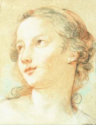 La testa di una ragazza che guarda a sinistra