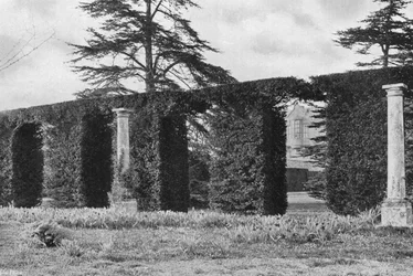 Una Siepe Arcuata Imponente