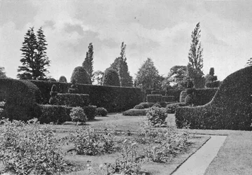 Il giardino degli tassi